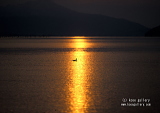 滋賀県琵琶湖
